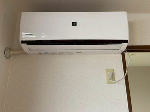 グリーン・ゲイブルズ 0102号-11