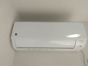 ポワッソン・ルージュ 0202号-11