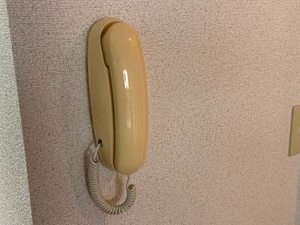 アルブルド・ソア 0203号-11