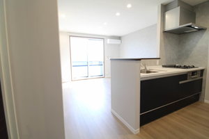 カサベルデＤ・Ｅ E201号-3