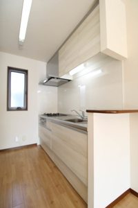 ツイン・アイリス B000号-4