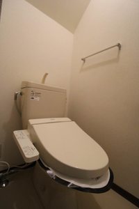 ツイン・アイリス B000号-13