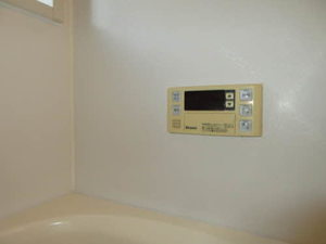 パルモ・ドゥ・メール 0102号-11