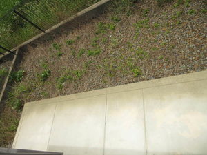 ディアコートＡ・Ｂ・Ｃ・Ｄ・Ｅ・Ｆ F102号-11