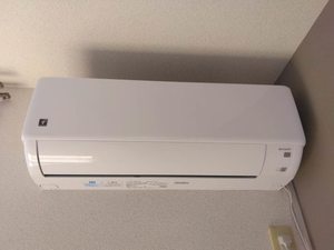 グリーンマンション芦田Ａ・Ｂ B101号-12