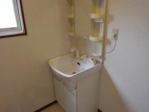 ヴェルドミール 0202号-5