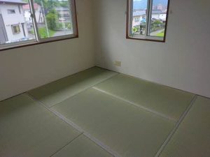 ヴェルドミール 0202号-8