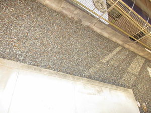 ベル・グラース 0102号-11