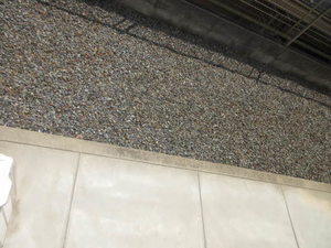 ベル・グラース 0103号-11