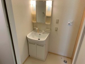 メゾンララルー 0101号-7