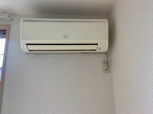 メゾンララルー 0101号-12