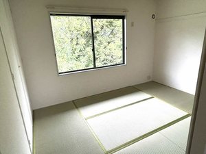 リバティーハイツ 0206号-3