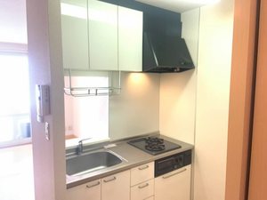 ショーエーハイツ 1203号-3