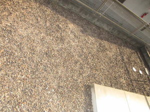 プチ・フォレ 0102号-11