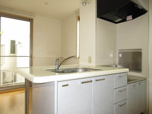 コート　パルＡ・Ｂ B102号-4