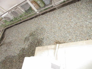 コート　パルＡ・Ｂ B102号-10