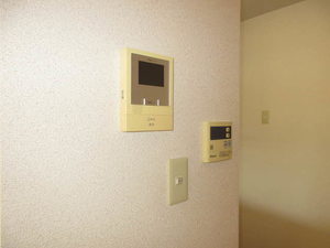 ＳＨＩＳＨＩＫＵＲＡ 0101号-13