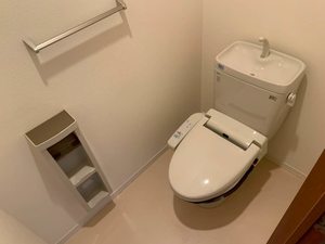 ヴェルジュコート 0203号-7