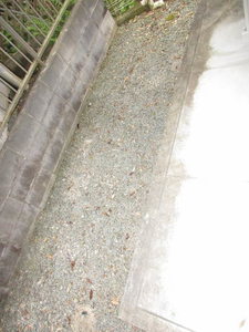 レクエルドＮ 0103号-12