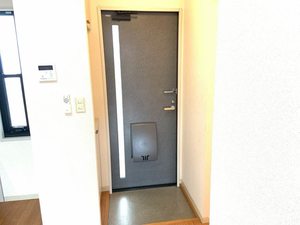 サニーハイツ・サチＣ・Ｄ C203号-10