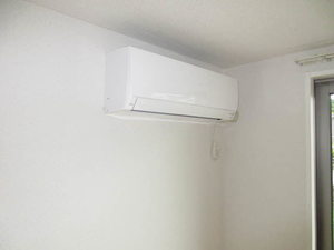 アプリコット 0102号-12