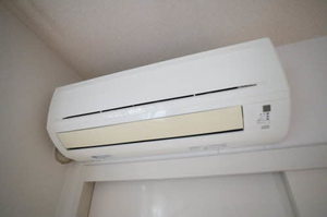 ビラ・グリーン・ヒル 0101号-8