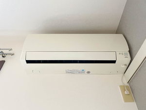 ビラ・グリーン・ヒル 0105号-11