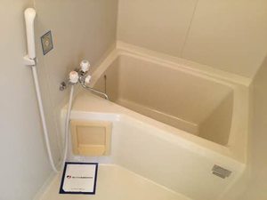 ビラ・グリーン・ヒル 0201号-8