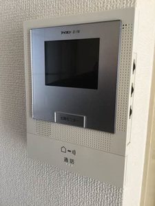 ビラ・グリーン・ヒル 0201号-11