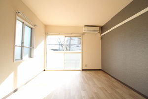 トラウムハウス 0201号-11