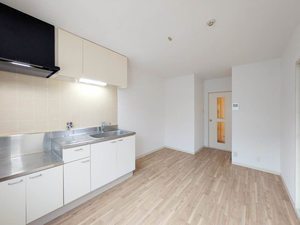 リトルフィールドＣ C206号-2