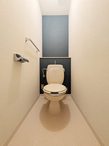 リトルフィールドＣ C206号-11