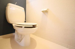 ソレイユ鹿の子台C C202号-7