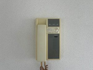 ローザパレスＢ B205号-9