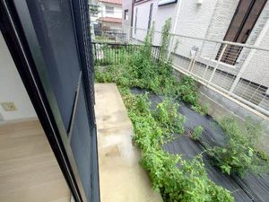 セフィーラ青谷A 0101号-15