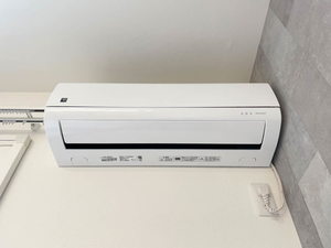 ヴェルドミールⅡ0103-3