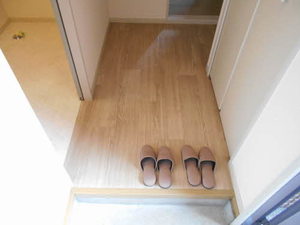 ヴェルドミールⅡ 0105号-13