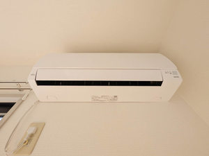 ＲＯＳＡ　Ａ 0205号-12