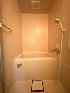 ディアス三条 0202号-8