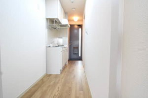 ディアス住吉 0203号-3