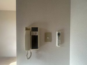 ラ・ピエール 0103号-9