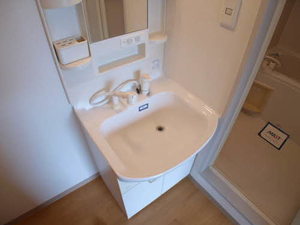 シャーメゾン行基 0202号-8