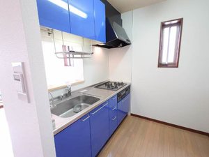 シャーメゾンセレッソ・カーサ 0301号-6