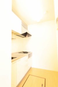 ブルーメゾンⅡ 0101号-9