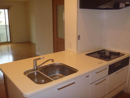 フィレンツェ上新庄 0102号-8