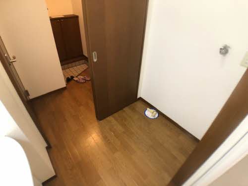 Tetto ヴェルデ 0103号-11