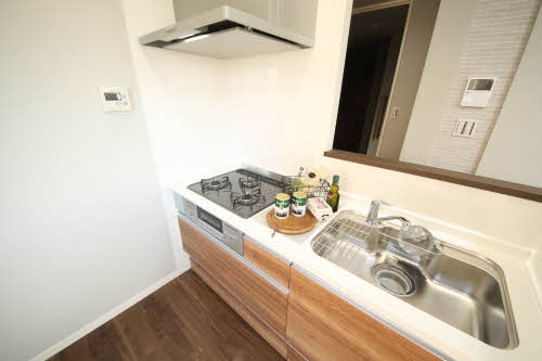 ハイツベガ 0101号-3