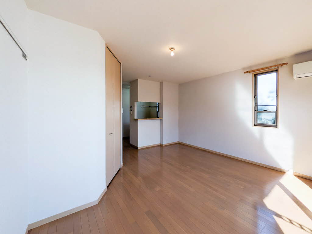 ＰＥＴＩＴ　ＣＯＵＲＴ 0201号-3