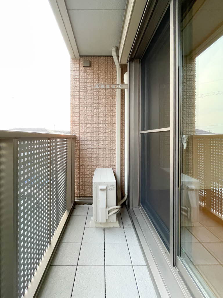 ＳＯＬ．ＬＥＶＡＮＴＥ，Ⅹ 0303号-10