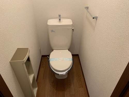 アルブルド・ソア 0203号-7